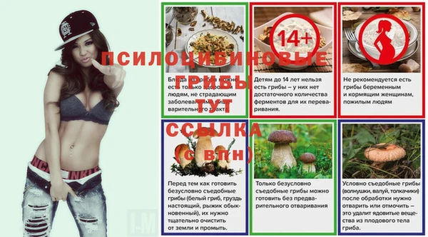 apvp Алексин